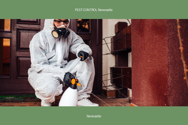 PEST CONTROL Newcastle